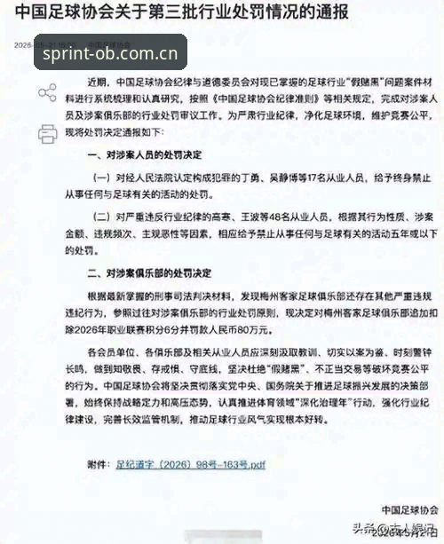 中国足协第三批禁足名单深度解析：足球圈净化行动的实用指南